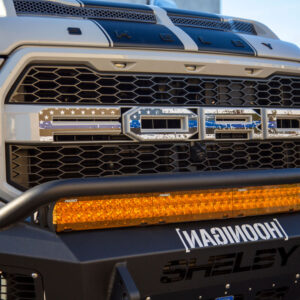 Ford-Shelby-Raptor-Stripes-5